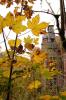 098. Herbstfarben 04