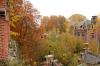 109. Herbstfarben 15.